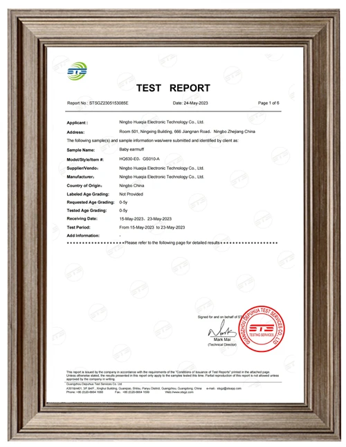 certificate-02 certificate-02