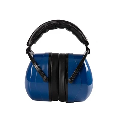 Professional Noise Cancelling Headphones